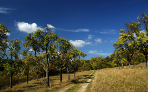 594478 (a): :2560x1600